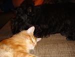     
: DSC04326.jpg
: 6
:	103.1 
ID:	5162077