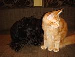     
: DSC04331.jpg
: 6
:	112.4 
ID:	5162078