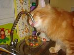     
: DSC04397.jpg
: 9
:	125.8 
ID:	5162081