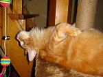     
: DSC04374.jpg
: 8
:	130.8 
ID:	5162093