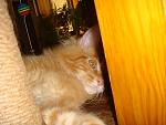    
: DSC04371.jpg
: 5
:	102.0 
ID:	5162095