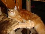     
: DSC04379.jpg
: 5
:	110.8 
ID:	5162098