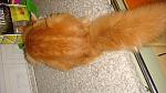     
: DSC04362.jpg
: 3
:	108.8 
ID:	5162102