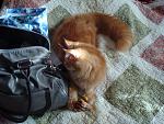     
: DSC04355.jpg
: 6
:	163.4 
ID:	5162118