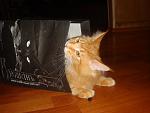     
: DSC04392.jpg
: 8
:	105.9 
ID:	5162121