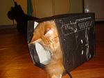     
: DSC04389.jpg
: 4
:	117.4 
ID:	5162124