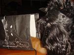     
: DSC04395.jpg
: 6
:	138.0 
ID:	5162126