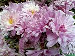     
: IMG11167.jpg
: 7
:	164.2 
ID:	5162995