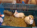     
: DSC08809.jpg
: 8
:	94.0 
ID:	5163149