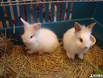     
: DSC08821.jpg
: 7
:	90.0 
ID:	5163151