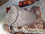     
: 111120122950.jpg
: 10
:	191.3 
ID:	5163839