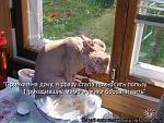     
: 610930[1].jpg
: 24
:	64.8 
ID:	5167506