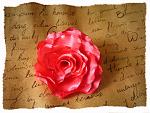     
: IMG_0336.JPG
: 23
:	121.9 
ID:	5170875