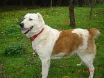     
: DSC00126.jpg
: 11
:	194.7 
ID:	5172958