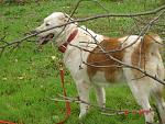     
: DSC00129.jpg
: 10
:	189.7 
ID:	5172997