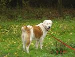     
: DSC00128.jpg
: 10
:	205.2 
ID:	5173002
