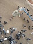    
: DSC02287.jpg
: 6
:	105.3 
ID:	5177141