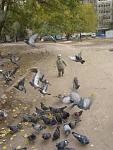     
: DSC02291.jpg
: 5
:	113.7 
ID:	5177570