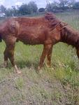     
: i8kjDGlrViE.jpg
: 7
:	64.7 
ID:	5178058