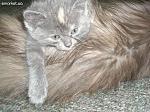     
: rzyGSU8nC_I.jpg
: 10
:	57.1 
ID:	5178467