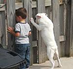     
: getImage (2).jpg
: 11
:	46.8 
ID:	5180348
