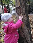     
: IMG_4554.jpg
: 4
:	134.8 
ID:	5180741