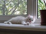     
: IMG_0037.jpg
: 9
:	131.2 
ID:	5181091