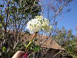     
: DSC00126.jpg
: 9
:	148.0 
ID:	5181799