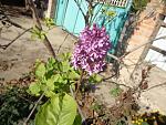     
: DSC00124.jpg
: 8
:	159.2 
ID:	5181802