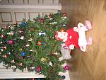     
: IMG_0037.jpg
: 6
:	197.3 
ID:	5185212
