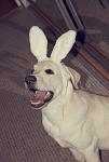     
: DSC_0207_1.jpg
: 8
:	125.7 
ID:	5185863