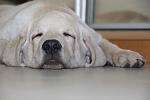     
: DSC_0011_web.jpg
: 8
:	90.0 
ID:	5185864