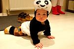     
: DSC06606.jpg
: 16
:	93.0 
ID:	5187484