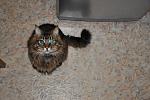     
: DSC_0015.jpg
: 4
:	120.3 
ID:	5188136