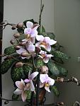     
: 16 Филадельфия.jpg
: 5
:	80.8 
ID:	5198688