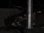     
: IMG_7420.jpg
: 207
:	71.1 
ID:	520135
