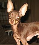     
: IMG_4441.JPGsdg.jpg
: 6
:	102.1 
ID:	5202580