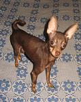     
: IMG_4420.jpg
: 7
:	147.8 
ID:	5202581