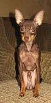    
: IMG_6113.JPG
: 7
:	48.0 
ID:	5202582