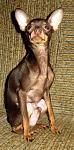     
: IMG_9005.JPGkhl.jpg
: 6
:	70.8 
ID:	5202583