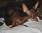     
: IMG_3560.jpg
: 7
:	109.0 
ID:	5202584