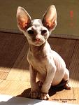     
: DSC01295.jpg
: 73
:	79.3 
ID:	520809