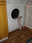     
: DSC01394.jpg
: 77
:	64.1 
ID:	520816