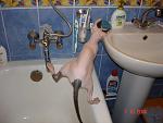     
: DSC01528.jpg
: 93
:	99.5 
ID:	520822