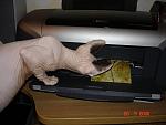     
: DSC01508.jpg
: 79
:	93.1 
ID:	520828