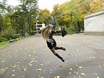     
: z_5e9ccf21.jpg
: 36
:	221.5 
ID:	5209430
