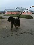     
: xiO1nJ_w4BA.jpg
: 10
:	41.2 
ID:	5211096