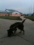     
: VWNQxu3ELM8.jpg
: 12
:	38.6 
ID:	5211099