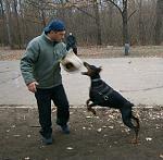     
: getImage (52).jpg
: 5
:	32.3 
ID:	5212098