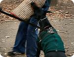     
: getImage (1).jpg
: 6
:	55.8 
ID:	5212099